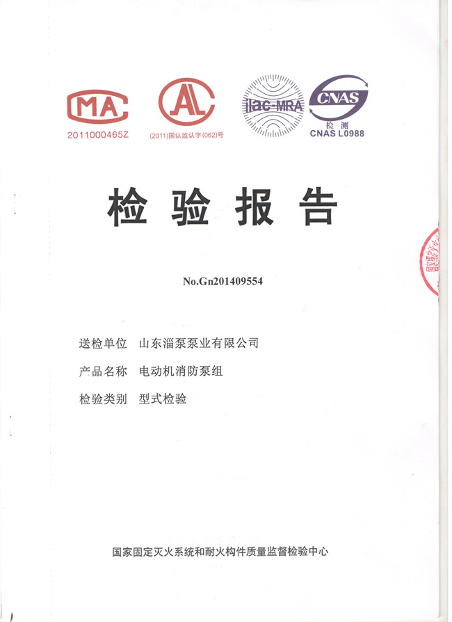 DL消防泵检验报告
